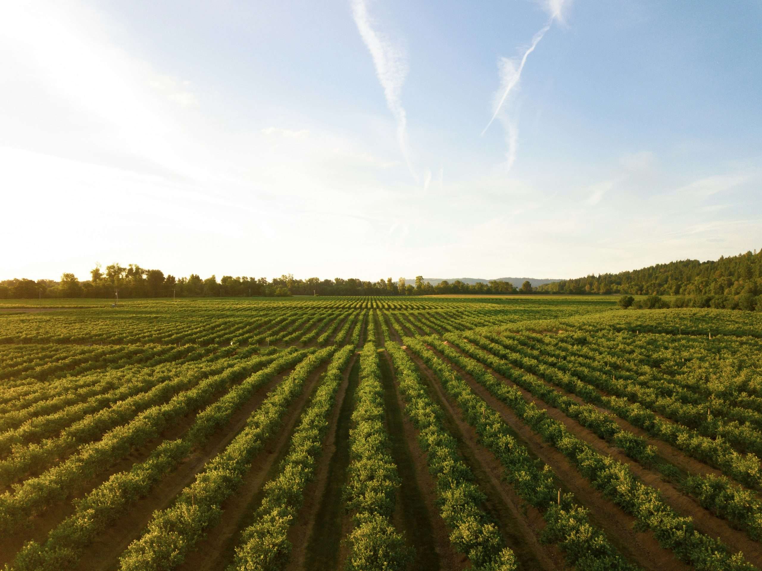 Finance for Fertilising Equipment