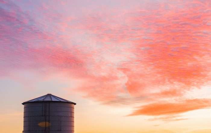 Finance for Grain Stores