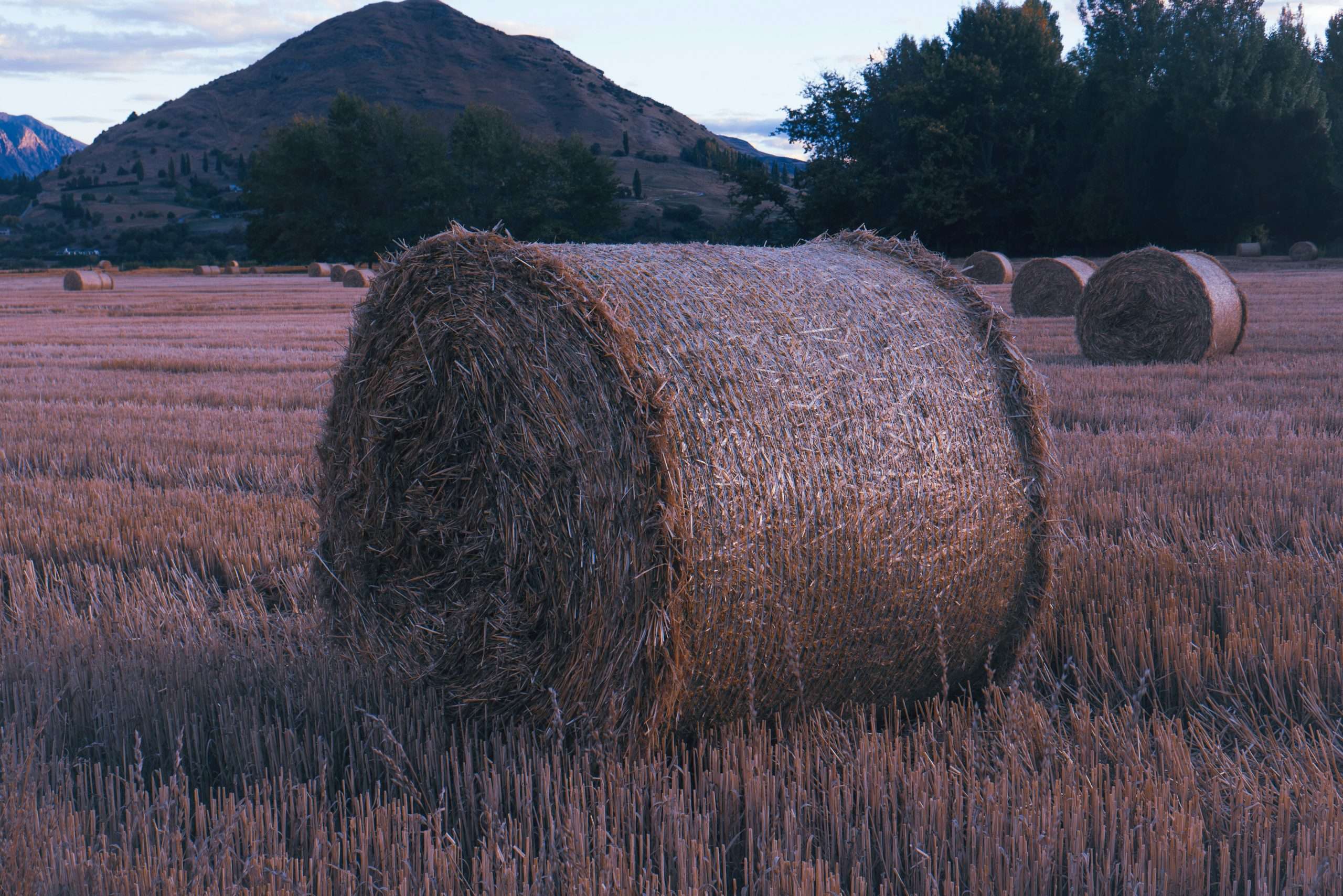 Finance for Baling Equipment