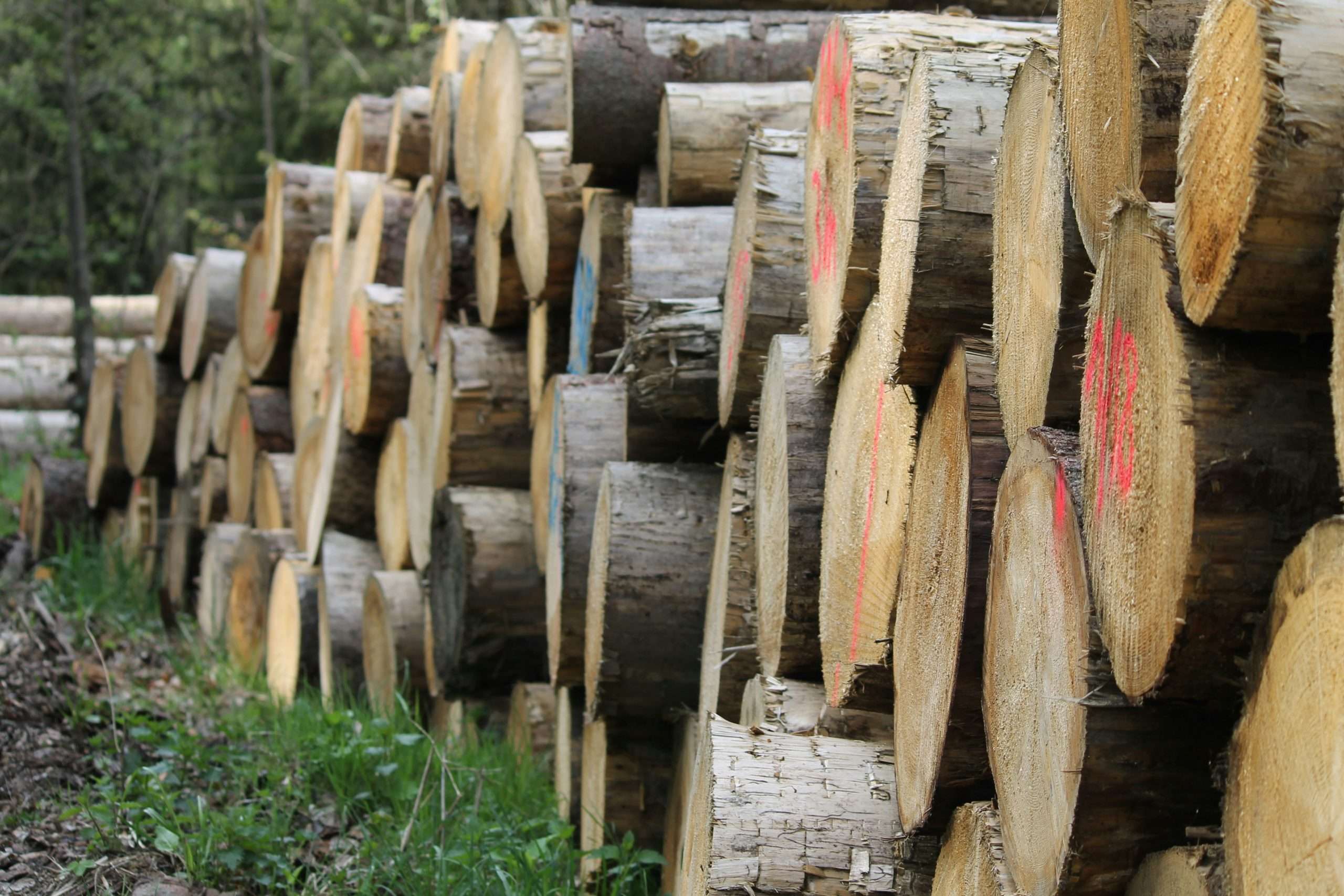 Finance for Biomass Boilers