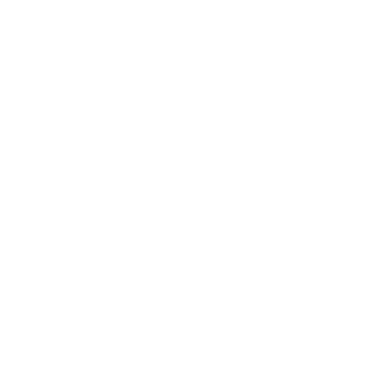 CFMOTO_logo_white_VERT
