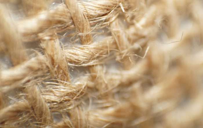 Finance for Alternative Crops