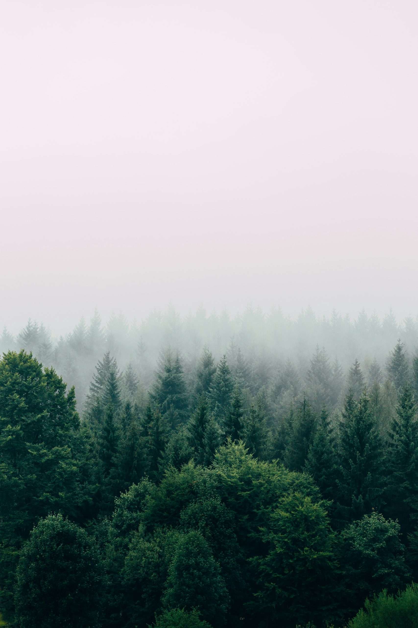 Finance for Arboriculture Equipment